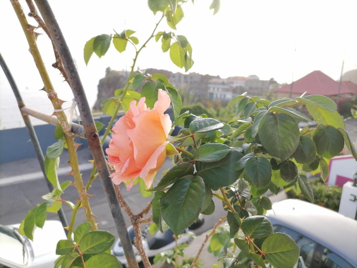 Westerland House Ribeira Brava Εξωτερικό φωτογραφία