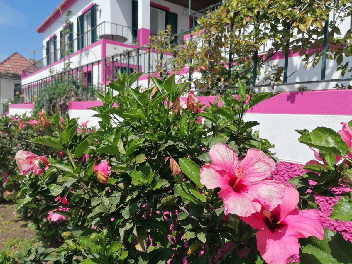 Westerland House Ribeira Brava Εξωτερικό φωτογραφία